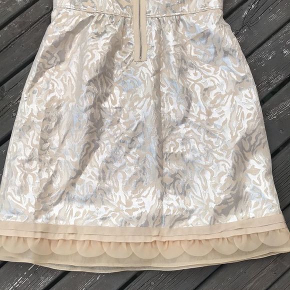 🦅 AE Sweetheart Metallic Jacquard Dress - Picture 8 of 12